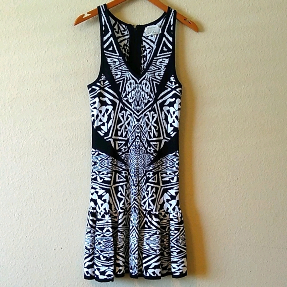 Artrlier nicole miller dress